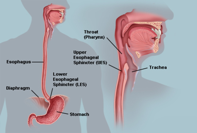 Acidity & GI Endoscopy in Pune