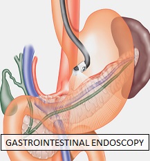 Gastroenterology Doctor In Pune